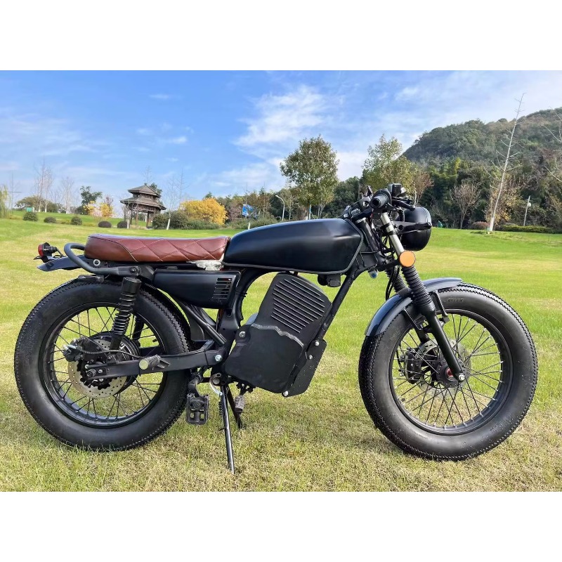 Lvyuan China Factory Direct Sa - огляд і ціна Electric Scooter Adults